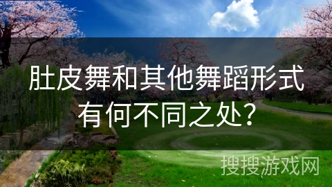 肚皮舞和其他舞蹈形式有何不同之处？