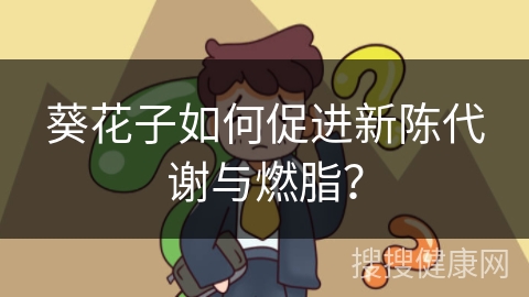 葵花子如何促进新陈代谢与燃脂？