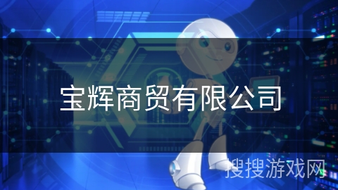 宝辉商贸有限公司