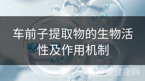 车前子提取物的生物活性及作用机制