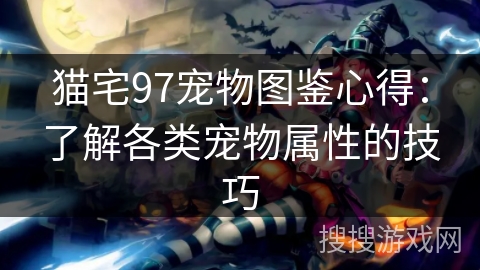 猫宅97宠物图鉴心得:了解各类宠物属性的技巧 猫宅97宠物图鉴心得:了解各类宠物属性的技巧