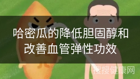 哈密瓜的降低胆固醇和改善血管弹性功效