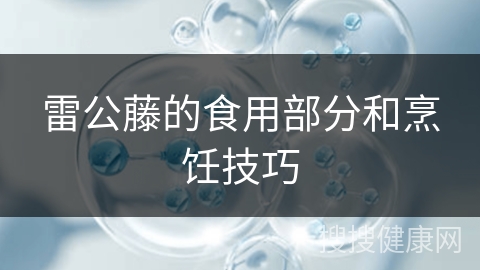 雷公藤的食用部分和烹饪技巧