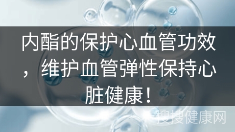 内酯的保护心血管功效，维护血管弹性保持心脏健康！