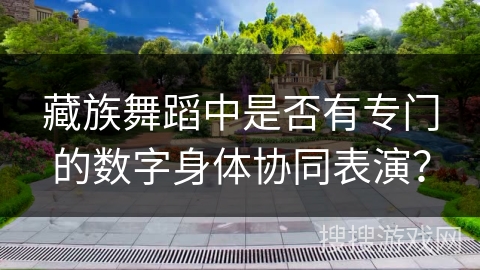 藏族舞蹈中是否有专门的数字身体协同表演？