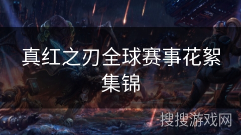 真红之刃全球赛事花絮集锦