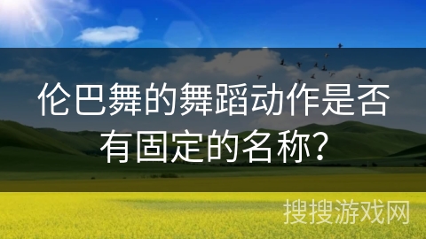 伦巴舞的舞蹈动作是否有固定的名称？