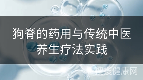 狗脊的药用与传统中医养生疗法实践