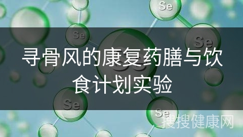 寻骨风的康复药膳与饮食计划实验