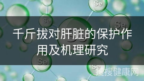 千斤拔对肝脏的保护作用及机理研究