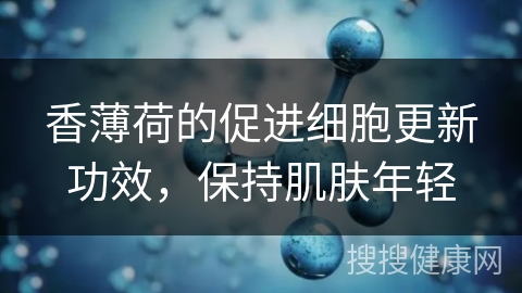 香薄荷的促进细胞更新功效，保持肌肤年轻