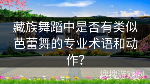 藏族舞蹈中是否有类似芭蕾舞的专业术语和动作？