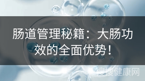 肠道管理秘籍：大肠功效的全面优势！