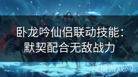 卧龙吟仙侣联动技能：默契配合无敌战力