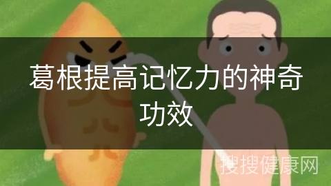 葛根提高记忆力的神奇功效