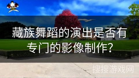 藏族舞蹈的演出是否有专门的影像制作?