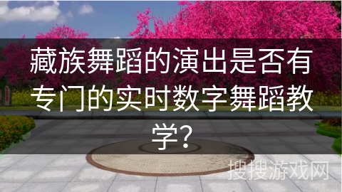藏族舞蹈的演出是否有专门的实时数字舞蹈教学?