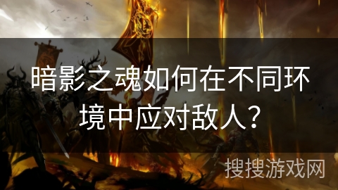暗影之魂如何在不同环境中应对敌人？