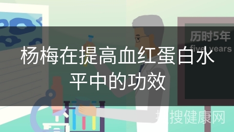 杨梅在提高血红蛋白水平中的功效