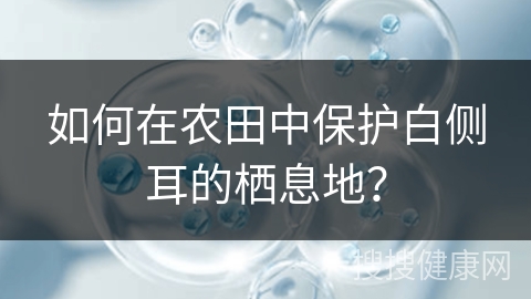 如何在农田中保护白侧耳的栖息地？