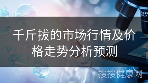 千斤拔的市场行情及价格走势分析预测