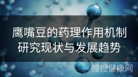 鹰嘴豆的药理作用机制研究现状与发展趋势