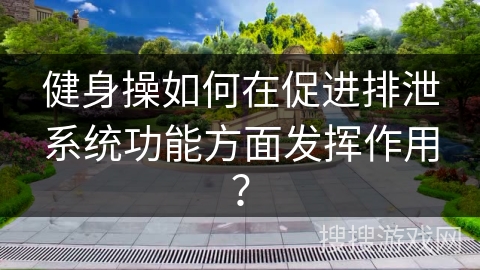 健身操如何在促进排泄系统功能方面发挥作用？