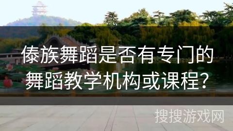 傣族舞蹈是否有专门的舞蹈教学机构或课程？