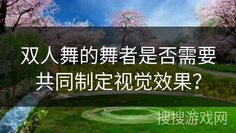 双人舞的舞者是否需要共同制定视觉效果？