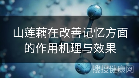 山莲藕在改善记忆方面的作用机理与效果