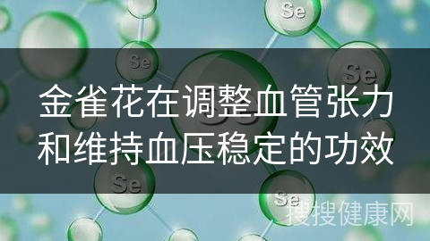 金雀花在调整血管张力和维持血压稳定的功效