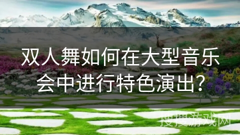双人舞如何在大型音乐会中进行特色演出？
