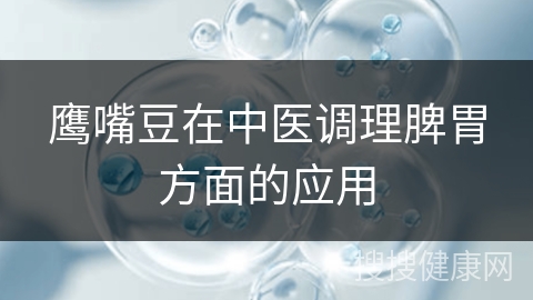 鹰嘴豆在中医调理脾胃方面的应用