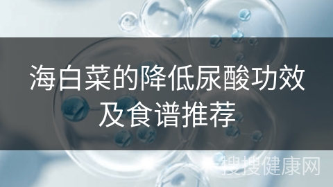 海白菜的降低尿酸功效及食谱推荐