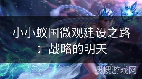 小小蚁国微观建设之路：战略的明天