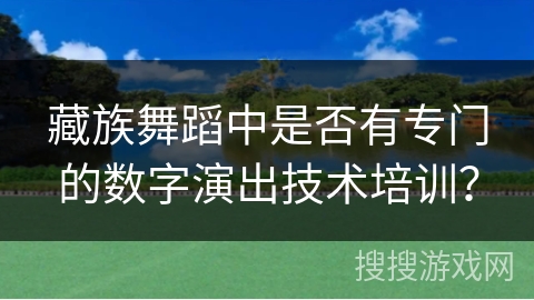 藏族舞蹈中是否有专门的数字演出技术培训？