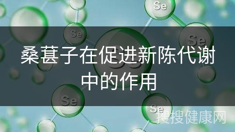 桑葚子在促进新陈代谢中的作用