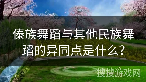 傣族舞蹈与其他民族舞蹈的异同点是什么？