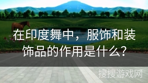 在印度舞中，服饰和装饰品的作用是什么？