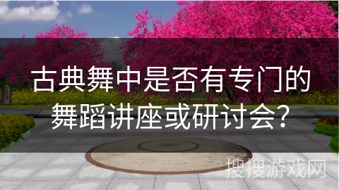 古典舞中是否有专门的舞蹈讲座或研讨会？