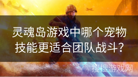 灵魂岛游戏中哪个宠物技能更适合团队战斗？