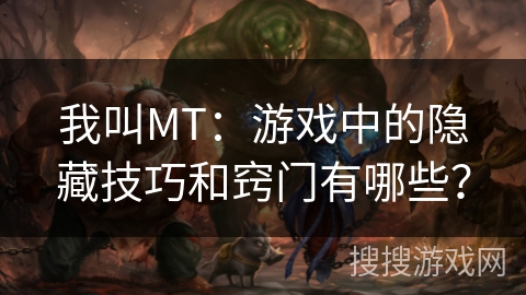 我叫MT：游戏中的隐藏技巧和窍门有哪些？