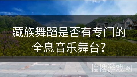 藏族舞蹈是否有专门的全息音乐舞台？