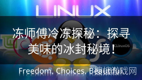 冻师傅冷冻探秘：探寻美味的冰封秘境！