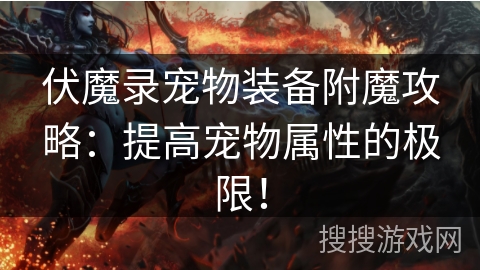 伏魔录宠物装备附魔攻略:提高宠物属性的极限! 伏魔录宠物装备附魔攻略:提高宠物属性的极限!