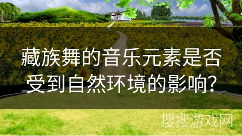 藏族舞的音乐元素是否受到自然环境的影响？