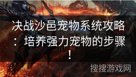 决战沙邑宠物系统攻略:培养强力宠物的步骤! 决战沙邑宠物系统攻略:培养强力宠物的步骤!