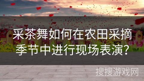 采茶舞如何在农田采摘季节中进行现场表演？