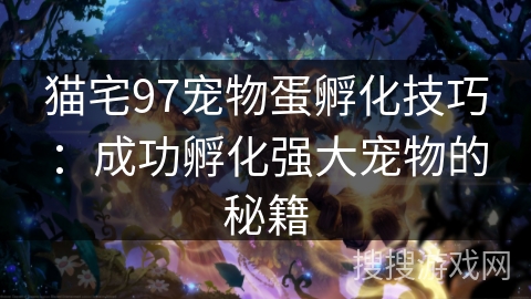 猫宅97宠物蛋孵化技巧：成功孵化强大宠物的秘籍