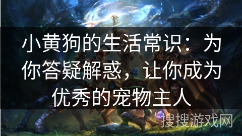 小黄狗的生活常识:为你答疑解惑,让你成为优秀的宠物主人 小黄狗的生活常识:为你答疑解惑,让你成为优秀的宠物主人